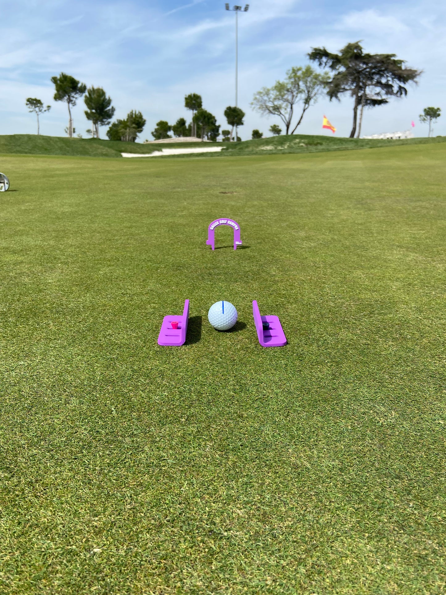 Putting Guides